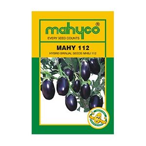 MAHY 112(MHBJ 112) Hybrid Brinjal Seeds