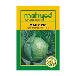 MAHY 261 Hybrid Cabbage Seeds