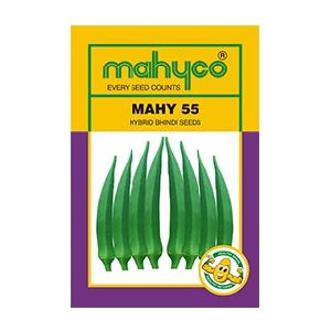 MAHY 55 Hybrid Okra Seeds