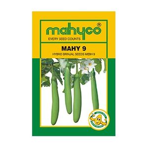 MAHY 9 (MEBH 9) Hybrid Brinjal Seeds