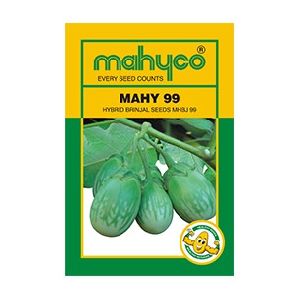 MAHY 99 (MHB 99) Hybrid Brinjal Seeds