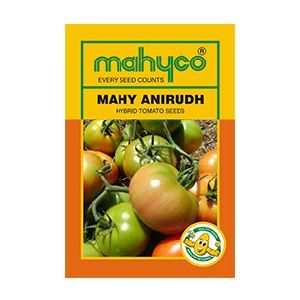 MAHY Anirudh Hybrid Tomato Seeds