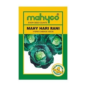 MAHY Hari Rani Hybrid Cabbage Seeds
