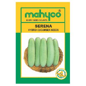 MAHY Serena Hybrid Cucumber Seeds