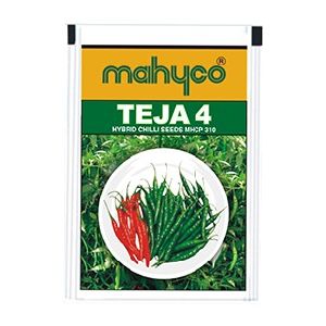 MHCP 310 – Teja Hybrid Chilli Seeds