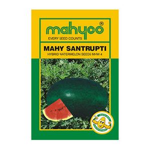 MHW 4 (Santrupti) Hybrid Watermelon Seeds