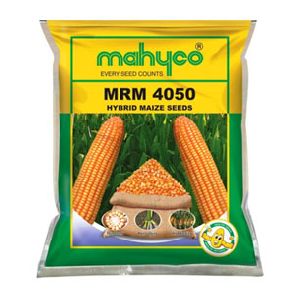 MRM 4050 Hybrid Maize Seeds