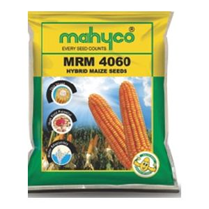 MRM 4060 Hybrid Maize Seeds