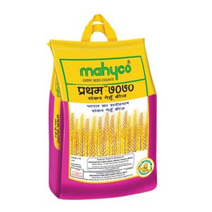 Pratham 7070 Hybrid Mustard Seeds