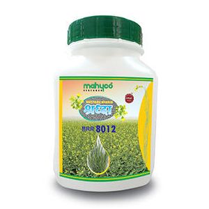 Shraddha MRR 8012 Hybrid Mustard Seeds