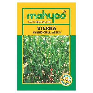 Sierra Hybrid Chilli Seeds