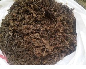 Seaweed Sargassum for animal feed