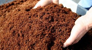 Coco Coir Soil
