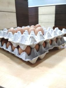 desi eggs