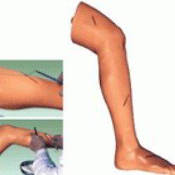 Surgical Suture Leg