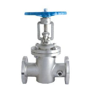 gate valve