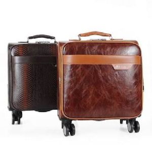 Leather Luggage