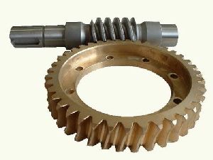 Worm Gear