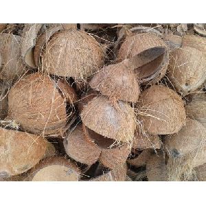 dry coconut shell