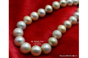 FLAT SHAPE 11.5-13.5 MM GOLDEN COLOR SOUTH SEA PEARL BEADS