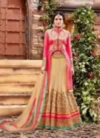 Beige Colored Net Bridal Lehenga