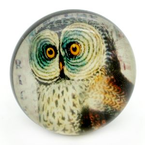 RESIN HANDCRAFTED BLACK &amp; MULTICOLOR OWL KNOB