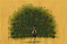 Dancing Peacock Miniature Painting