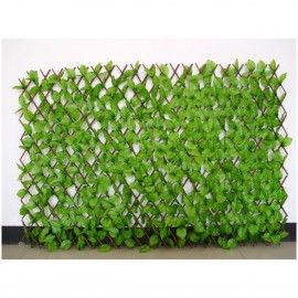 Expandable Willow fence
