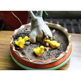 Poly resin chicken in yellow 2 inches