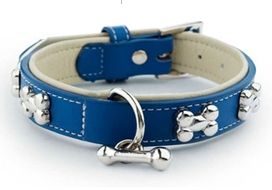 fashionable dog collars