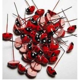 Bonsai / Planter / Garden / Terrarium Decor