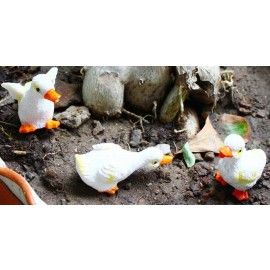Miniature Poly resin chicken Planter Decoration