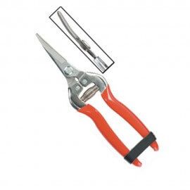 S.S Fruit Pruner Silver And Red 10.5 X 3.5 X 1 (in inches)