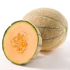 Fresh Rockmelon