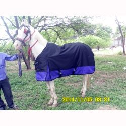 Waterproof Horse Blankets
