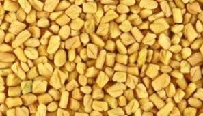 indian fenugreek seeds