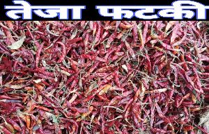 Teja Fatki Dried Red Chilli