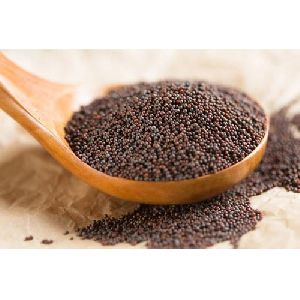 Brown Mustard Seeds