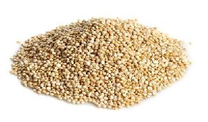 Indian Quinoa Seeds