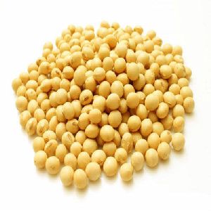 Yellow Soybean Seeds