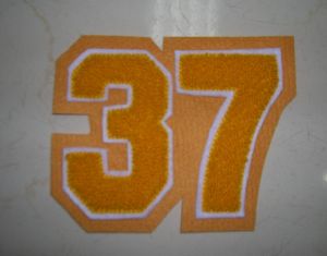 Chenille 37 Number Patch