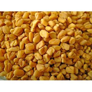 Dried Fenugreek Seeds