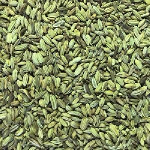 Green Fennel Seeds