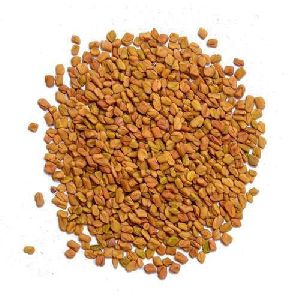 yellow fenugreek seeds