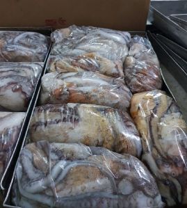 Frozen Octopus Frozen Octopus