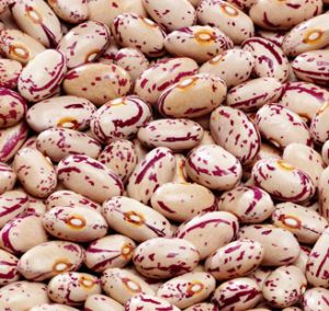 Common light speckled kidney beans, Packaging Size : 25kg 50kg