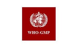 WHO-GMP Certification Services