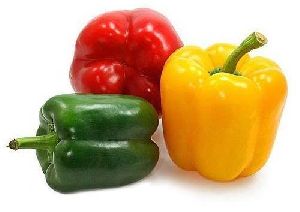 Fresh Capsicum