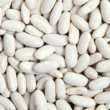 Fresh White Kidney Beans