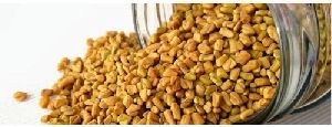 fenugreek seeds